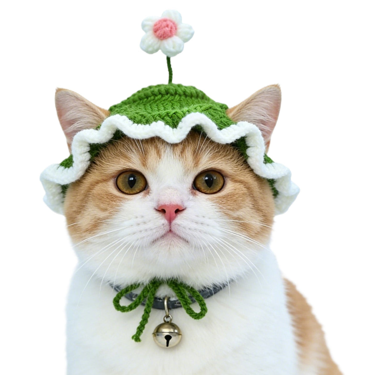 Cat Hat