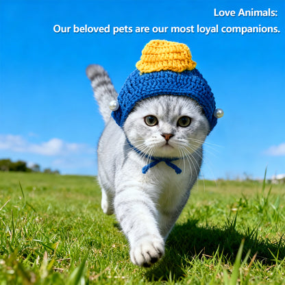 Cute Cat Hat Costume Suitable for 5 to16 lbs - Kitten hat Head Circumference 11" or Less cat Hats for Cats only pet Photography Outfits